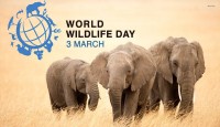 World Wildlife Day today